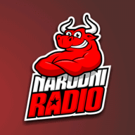 Narodni Radio | Bosnia and Herzegovina logo