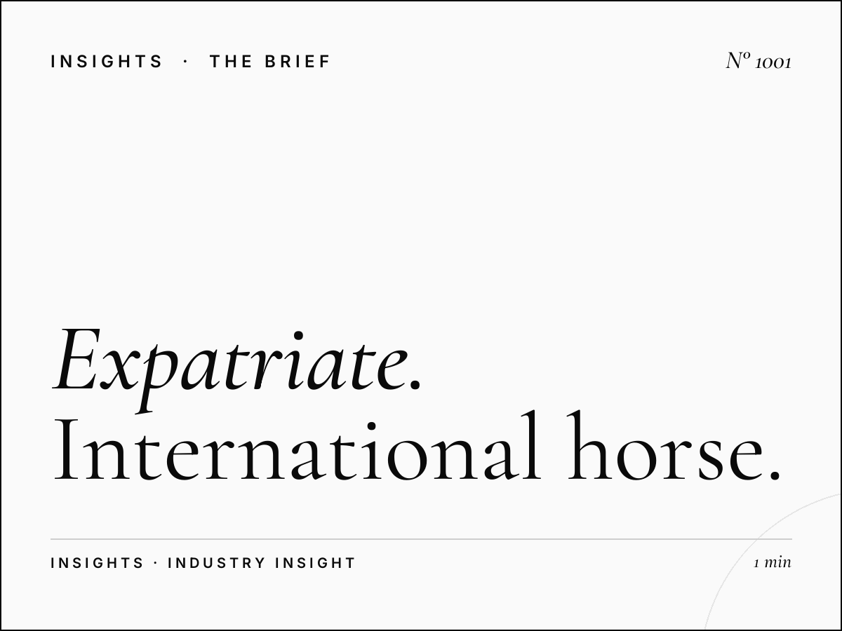 Expatriate Racing Enthusiasts | International Horse Racing Fans UAE