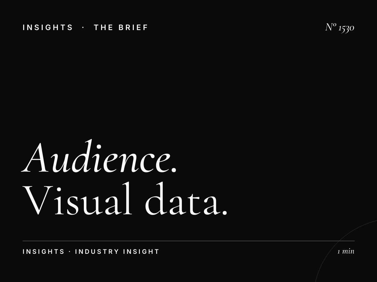 Audience Insights Dashboard | Visual Data Analytics