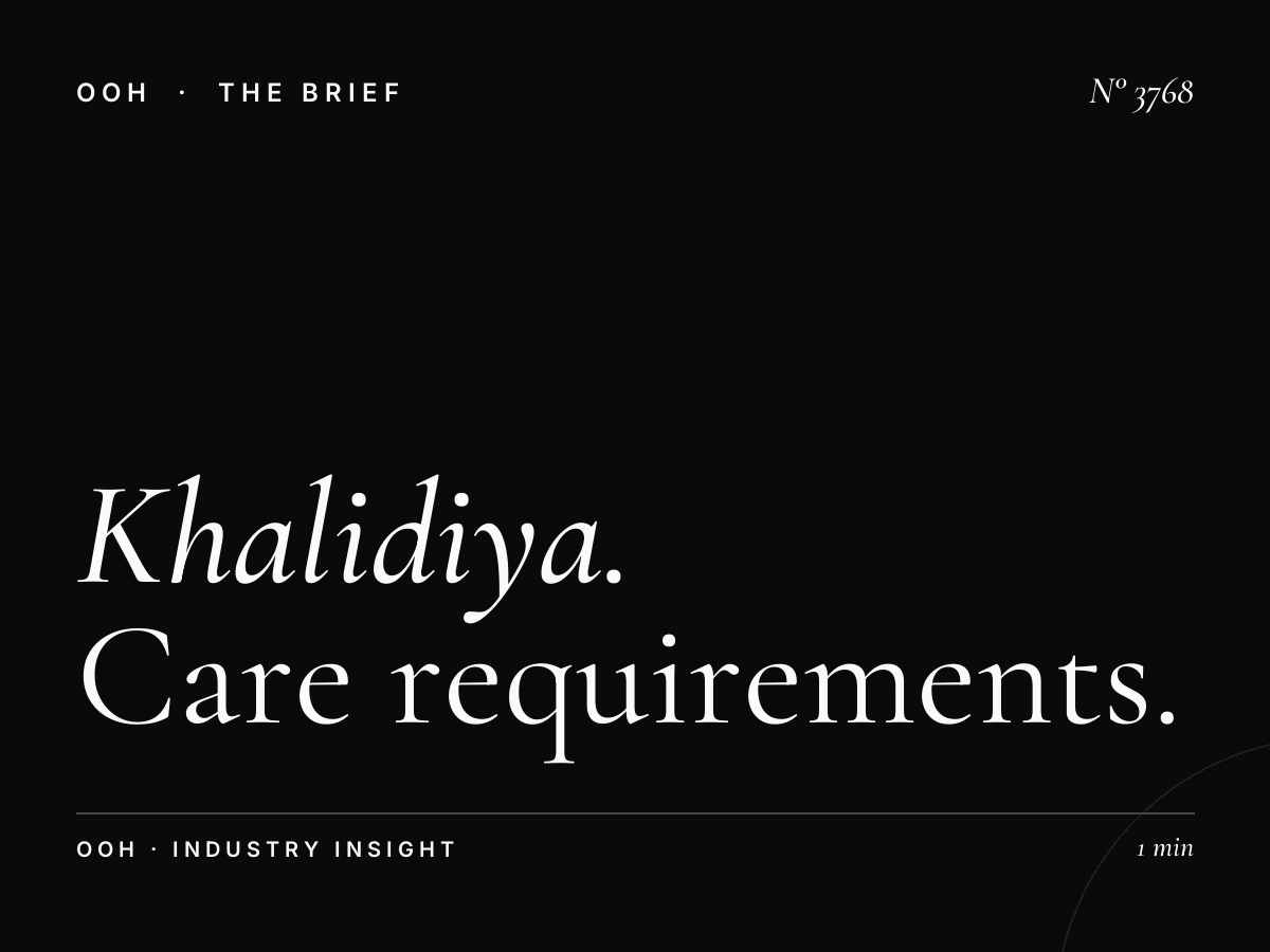 Khalidiya Hoarding Maintenance: Care Requirements