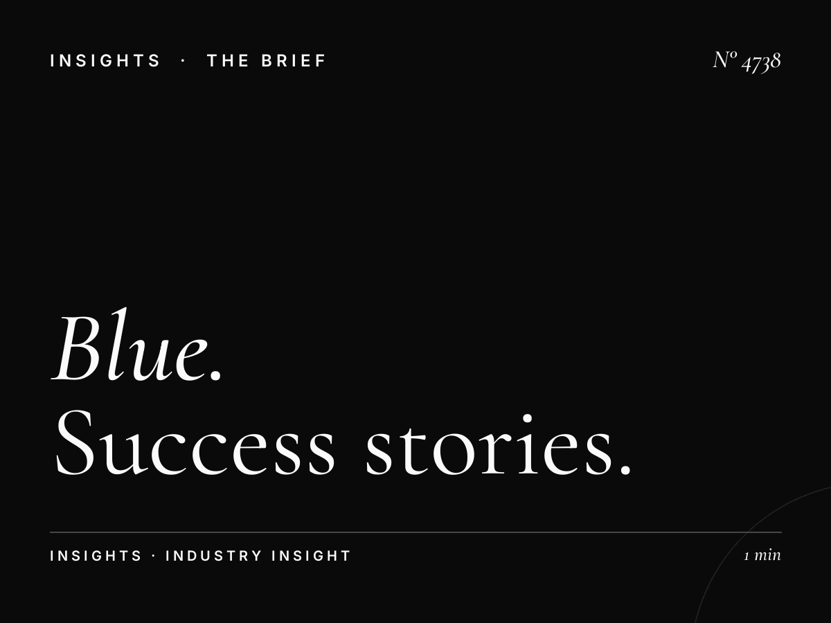 Blue Waters Digital Takeover Cases: Success Stories That Transformed Brand Visibility