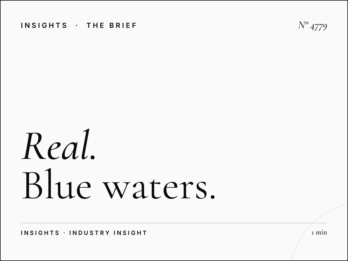 Real Estate Digital Takeover: Blue Waters Property
