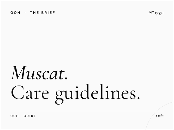 Muscat University Digital Screen Maintenance: Care Guidelines for Maximum ROI