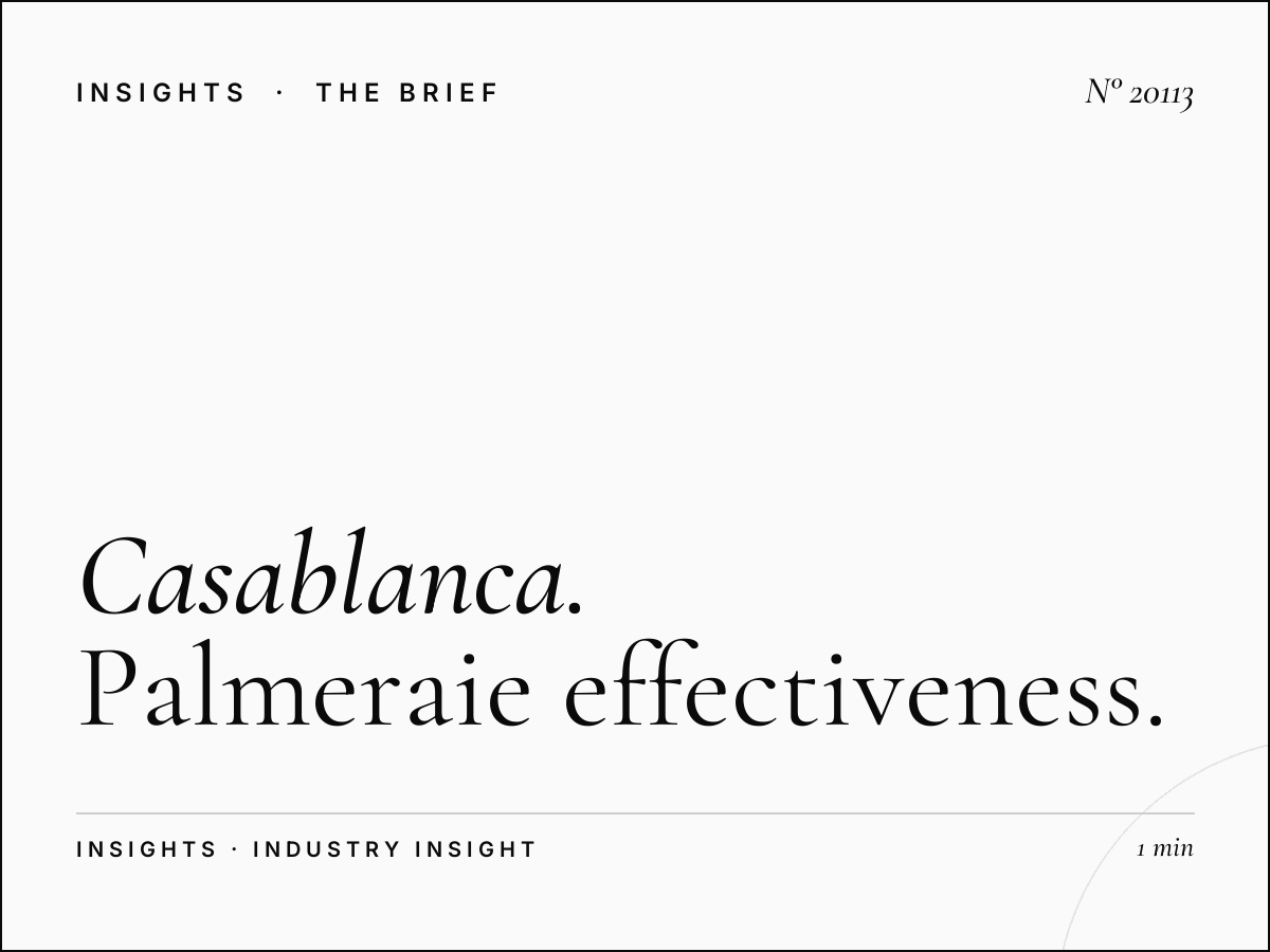 Casablanca Digital Visibility: Palmeraie Effectiveness