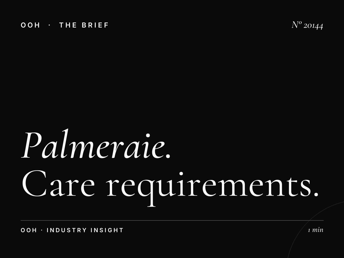 Palmeraie Digital Screen Maintenance: Care Requirements