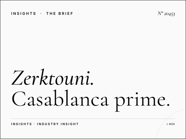 Zerktouni Business Boulevard: Casablanca Prime Targeting