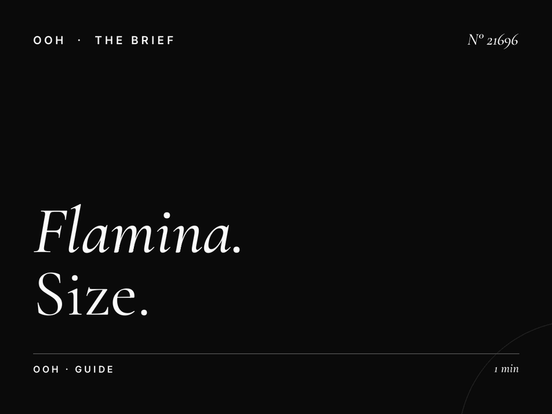 Flamina Belle Arti Static Wallbanner Format: Size Guide