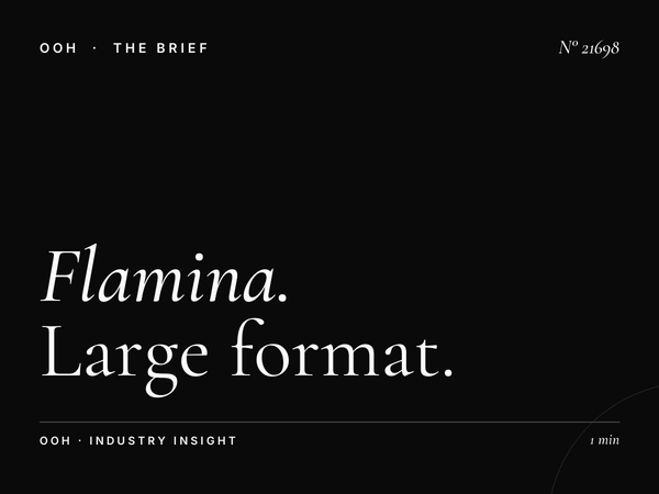 Flamina Belle Arti Static Wallbanner Size: Large Format - The Strategic Choice for High-Impact Italian Advertising