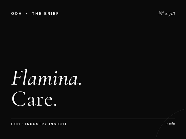 Flamina Belle Arti Static Wallbanner Maintenance: Care
