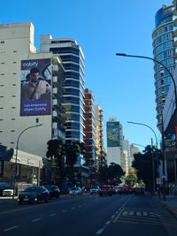Av del Libertador 1574 Wallwrap, Vicente Lopez