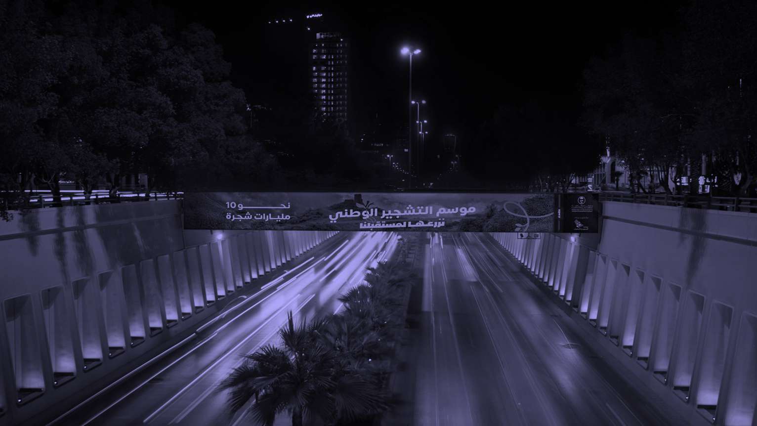Mezah Skyline · Digital Bridge over Riyadh corridor