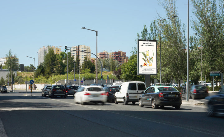 Premium LED Sky 8 sqm Estrada da Luz (Jardim da Luz), Lisbon