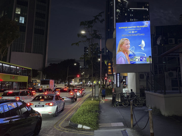 Lavender Trade Corridor Portrait Backlit Billboard, Singapore