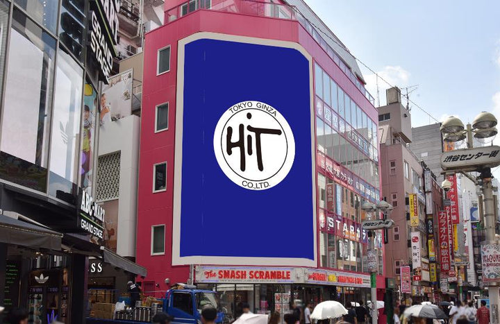 Shibuya Center-gai Hit Vision, Tokyo