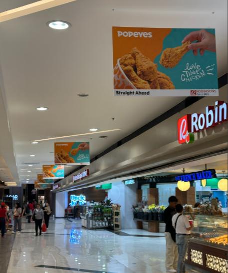 Hanging Banners, Robinsons Galleria, Quezon City, Philippines