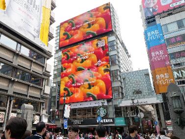 TSUTAYA Ebisubashi Hit Vision, Dotonbori, Osaka — image 2