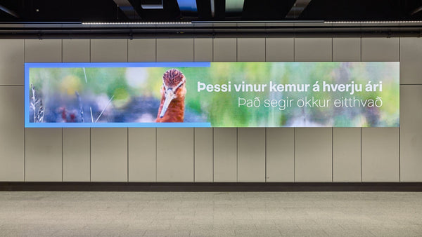 Wall Screens (2), Baggage Hall, Keflavík Airport — image 3